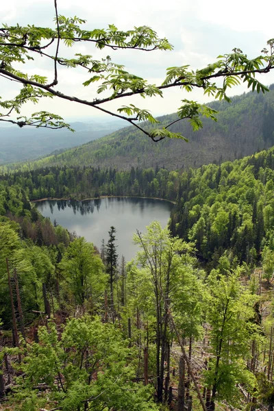 Bergmeer — Stockfoto