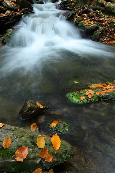 Weißbach — Stockfoto