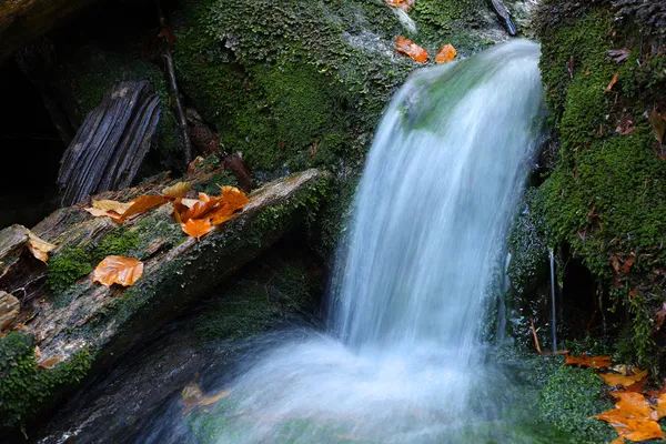 Arroyo blanco — Foto de Stock