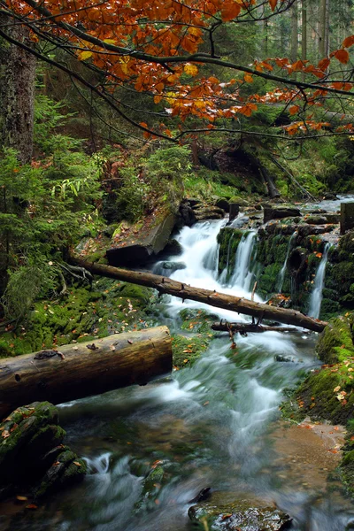 Weißbach — Stockfoto