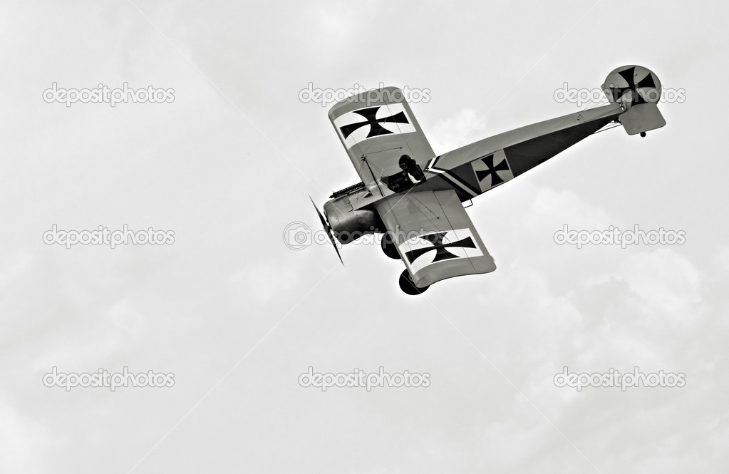 Historic plane Fokker Eindecker