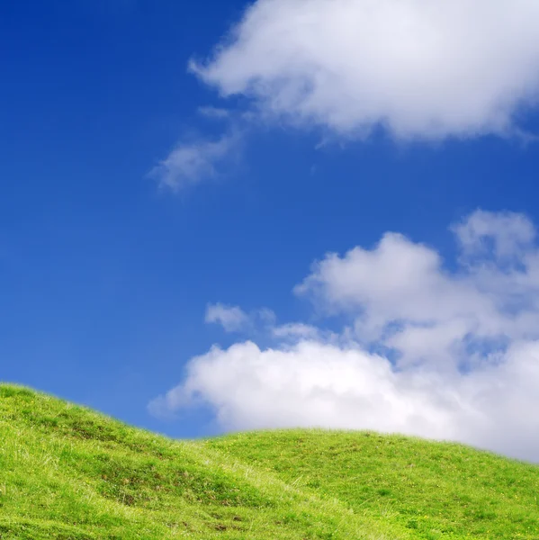 Beautiful spring meadow — Stock Photo, Image