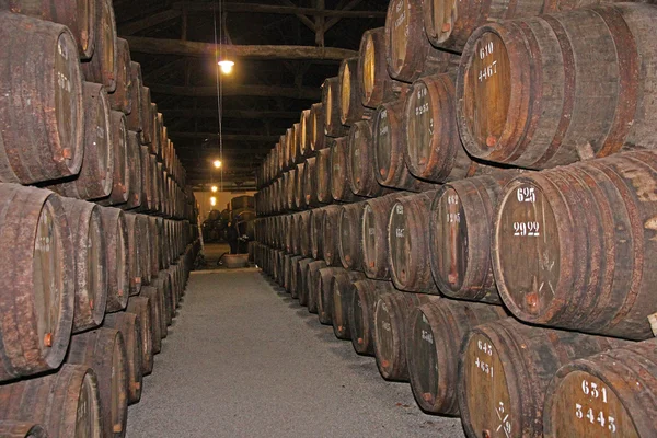 Barricas de vino de madera en Oporto, Portugal —  Fotos de Stock