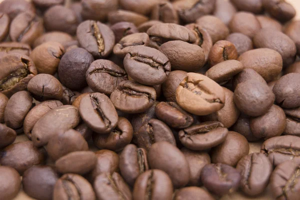 Coffee beans — Stock Photo, Image