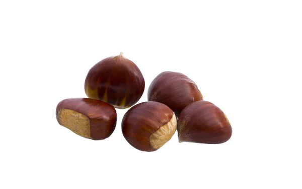 beyaz zemin üzerinde izole kestane