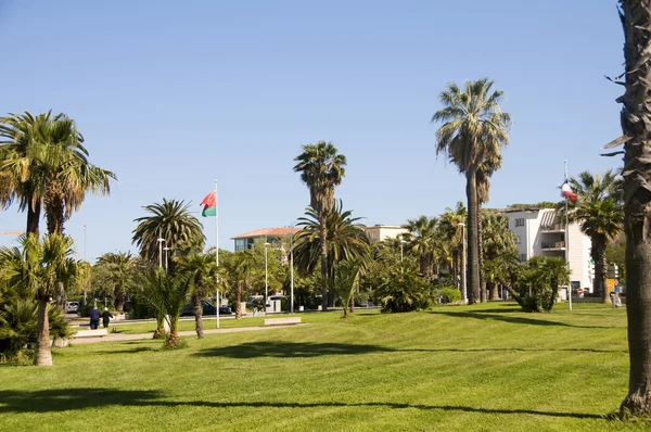 Utomhus trädgård park antibes Frankrike franska Rivieran — Stockfoto