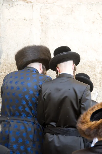 Chassidisk chassidic judar ber på western wall jerusalem isr — Stockfoto