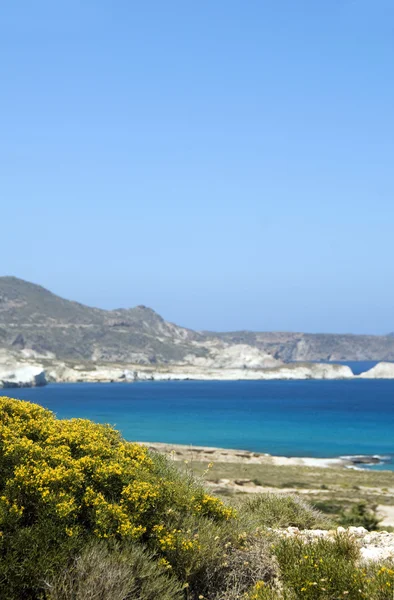 Playa de piedra caliza Mar Mediterráneo Milos isla griega Ciclades G —  Fotos de Stock