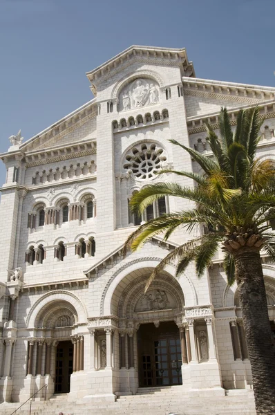 Cathédrale Saint-Nicolas Chat drole de Monaco Monte Carlo — Photo