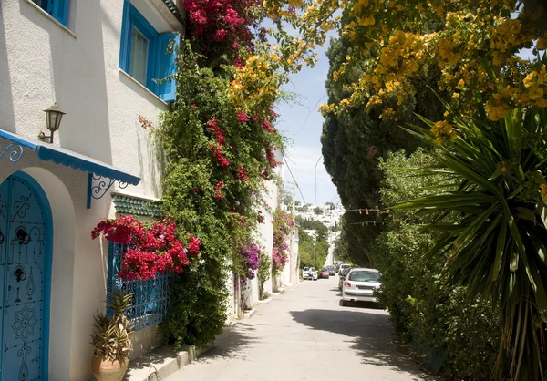 Уличная сцена Sidi Bou Said Tunisia — стоковое фото