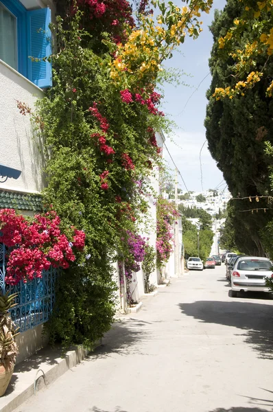 Scena di strada Sidi Bou Said Tunisia — Foto Stock