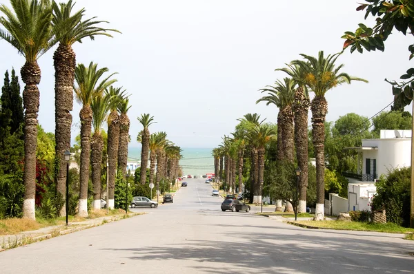 Rue Dag Hammarskjoeld road Carthage-Hannibal Tunis Tunisia to M — Fotografie, imagine de stoc