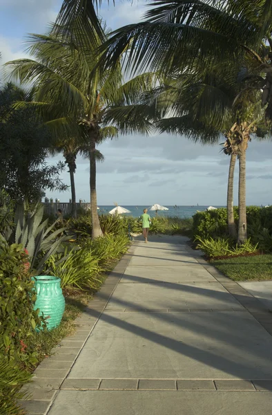 Passerelle vers la belle plage tropicale — Photo