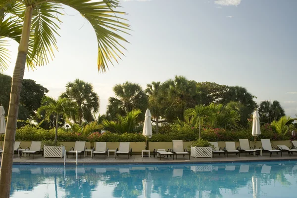 Swimming pool hotel — Stock Photo, Image