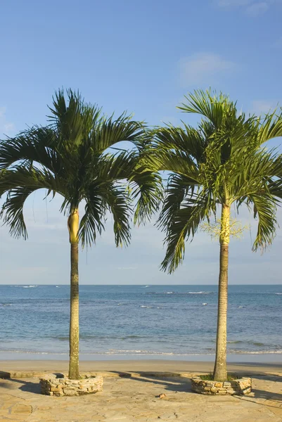 Malecon santo domingo — Stock Fotó