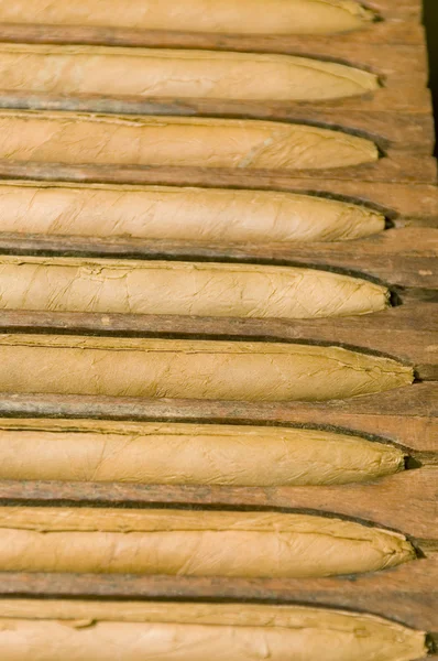 Handgjorda cigarrer i pressen lagring — Stockfoto