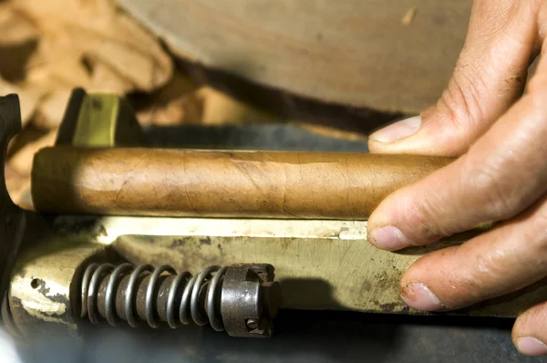 Hand made cigars — Stock Photo, Image