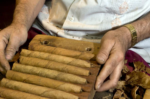 Handgjorda cigarrer — Stockfoto