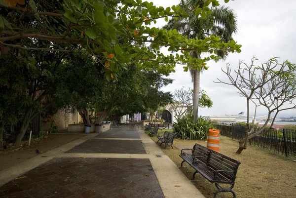 Parque de las palomas dove park — Stock Photo, Image