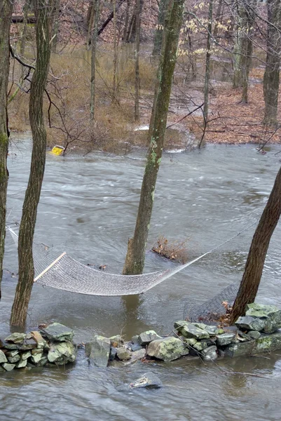 Vue de l'inondation dans la cour arrière — Photo