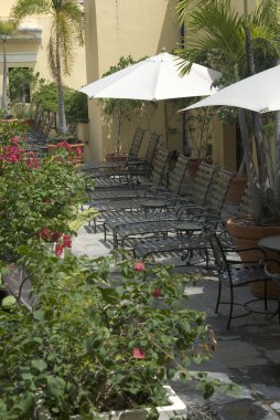 çiçekli Salon Sandalyeler patio