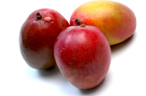 Mangoes — Stock Photo, Image