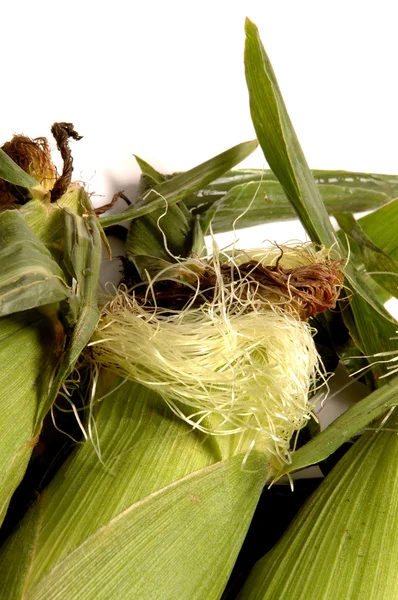 Corn — Stock Photo, Image