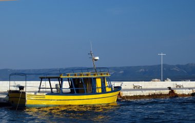 Sarı tekne