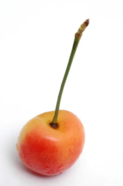 Rainier cherry — Stock Photo, Image