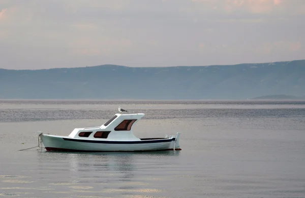 Boat with bird — Stock Photo, Image