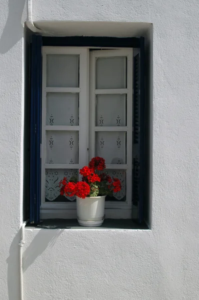 Fönster med geranium — Stockfoto