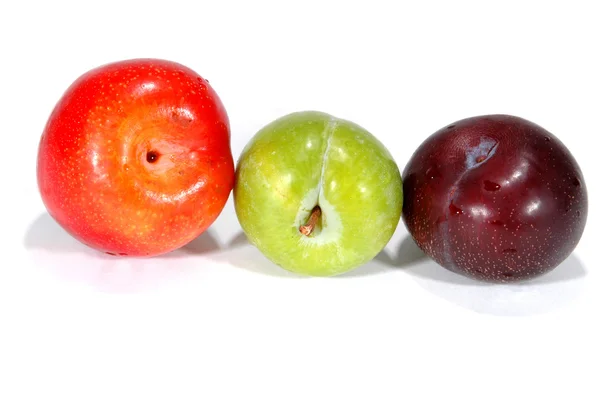 Colorful plums — Stock Photo, Image