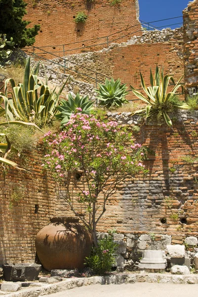 Garden taormina sicily — Stock Photo, Image