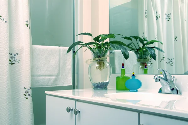 Fürdőszoba növény — Stock Fotó