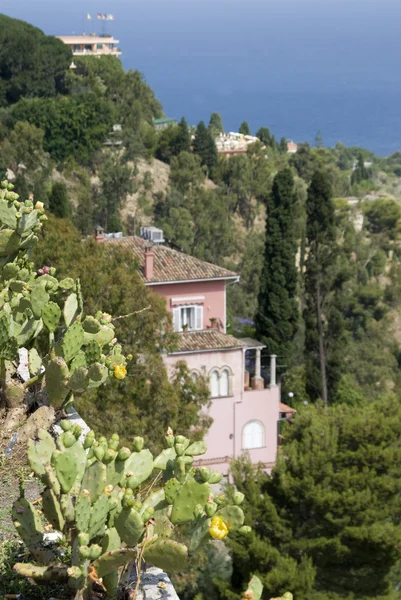 Garden in sicily — Stock Photo, Image