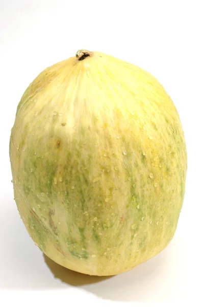 Crenshaw melon — стоковое фото