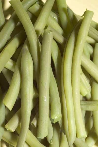 Haricots verts — Photo