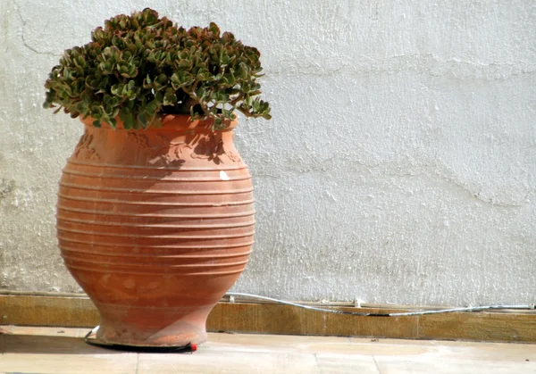 Vase with plant greek island scene — Stock Photo, Image