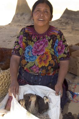 fowl vendor guatemala clipart