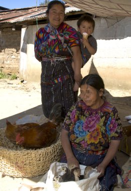 Guatemala Hintli kadın satıcıları