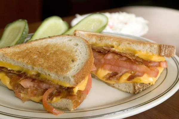 Grilled cheese sandwich — Stock Photo, Image