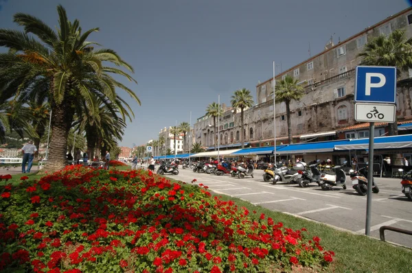 Boulevard split croatia — Stock Photo, Image