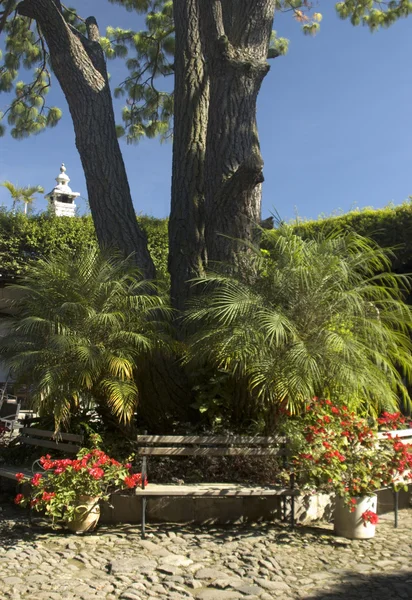 Courtyard in sunshine — Stock Photo, Image