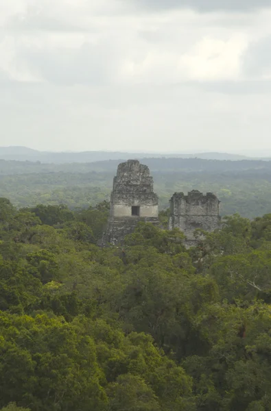 Chrám iii tikal — Stock fotografie