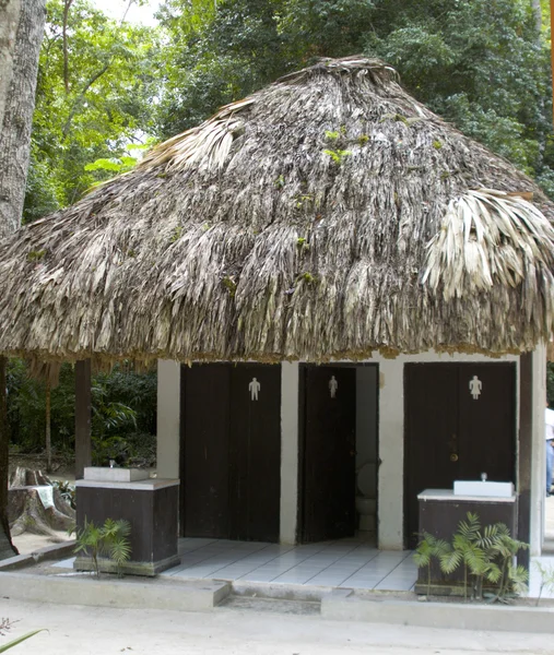 Outdoor bathrooms tikal guatemala — Stock Photo, Image