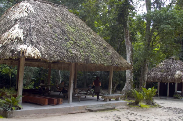 Venkovní koupelny umístěte oblast tikal guatemala — Stock fotografie