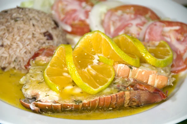 Caribbean style lobster tail — Stok Foto