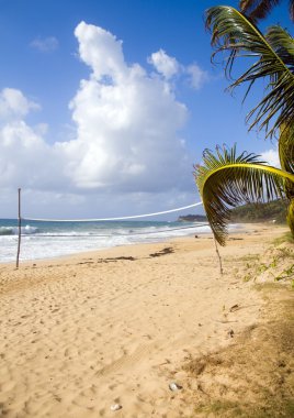 voleybolu top sahası ile Hindistan cevizi ağacı ıssız sahil uzun çanta Mısır