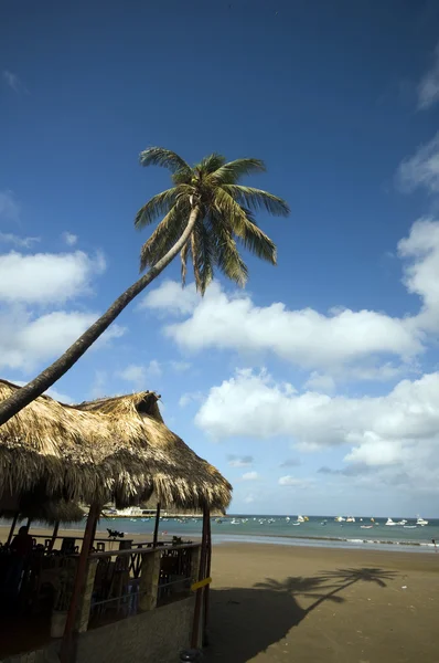 Spiaggia fronte oceano paglia tetto ristorante nicaragua — Foto Stock