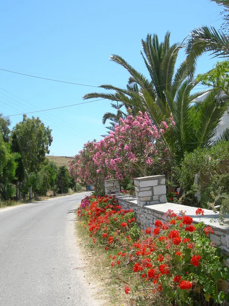 Griego isla calle escena con flores — Foto de Stock